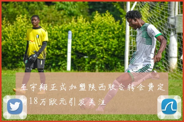 王宇翔正式加盟陕西联合转会费定为18万欧元引发关注