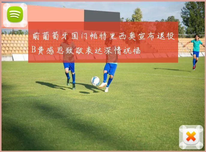 前葡萄牙国门帕特里西奥宣布退役B费感恩致敬表达深情祝福