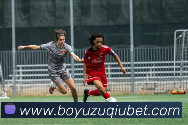 博鱼体育APP 高清赛事图